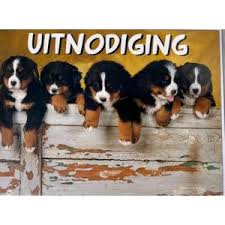 uitnodiging verjaardag 16 jaar