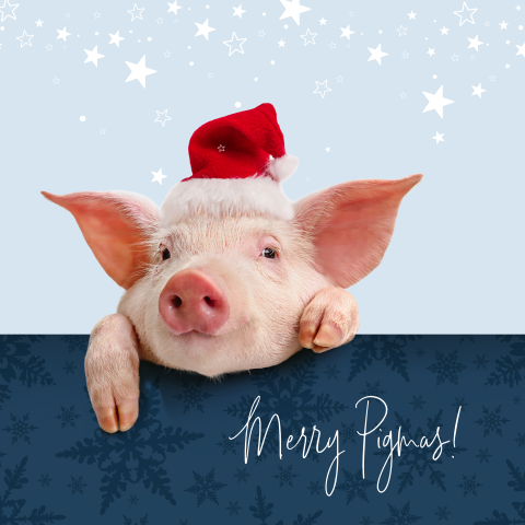 grappige kerstfoto
