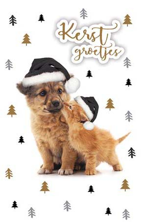 kerstkaart honden